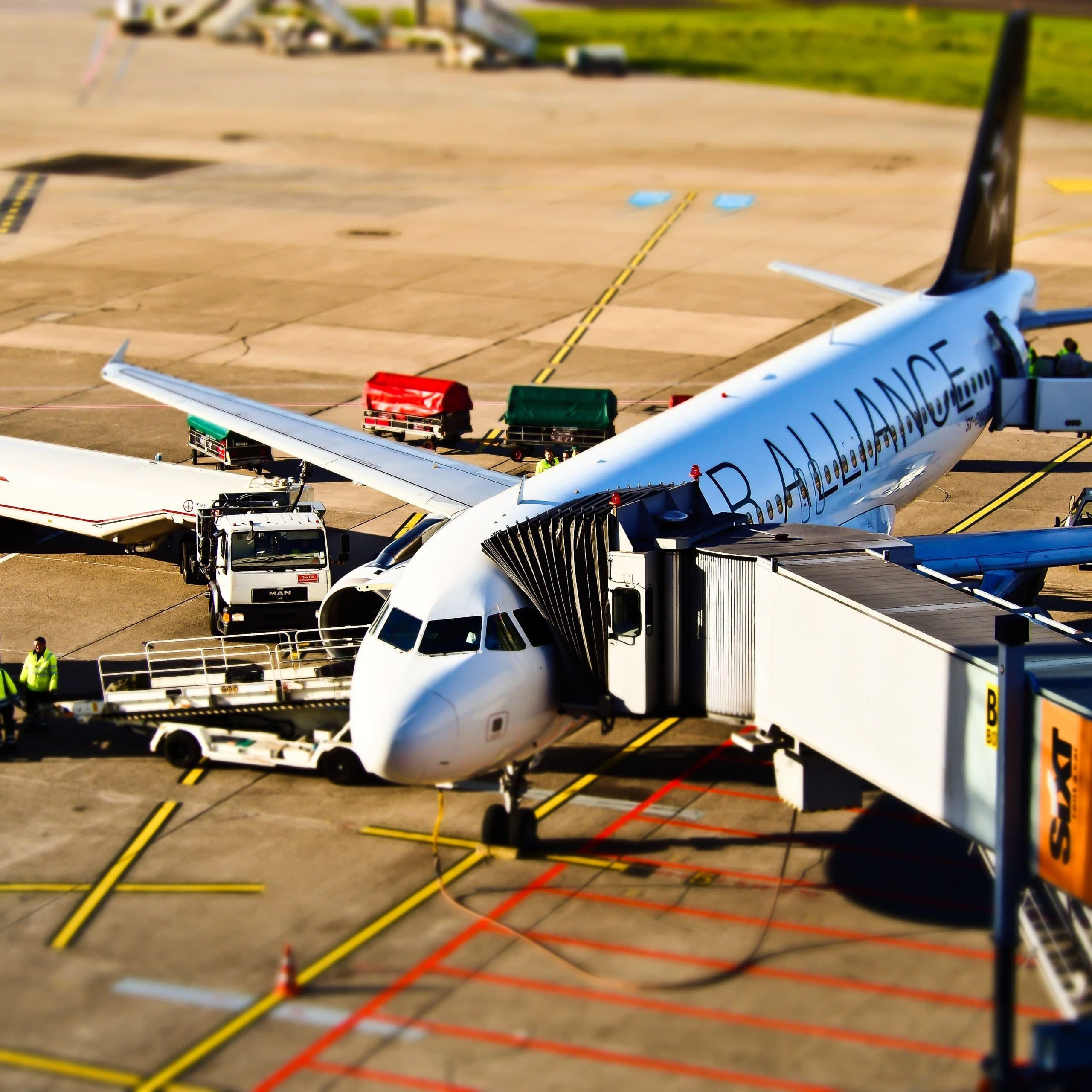 Airport terminal with aircraft from multiple partner airlines lined up at adjacent gates